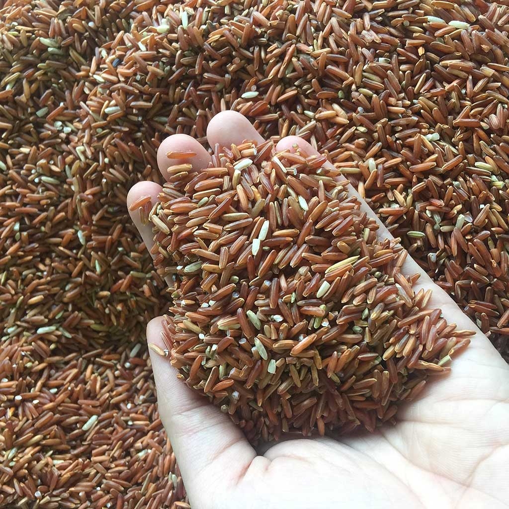 Gạo Huyết Rồng 1kg - Eco Rice